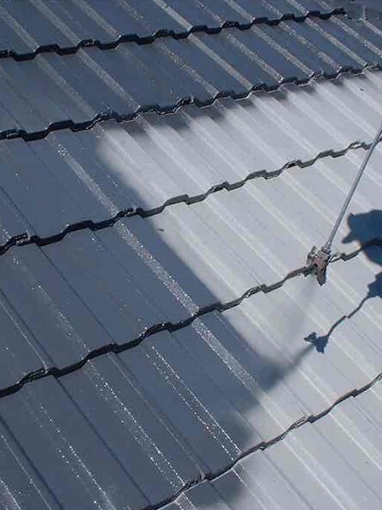 Roof painting and sealing