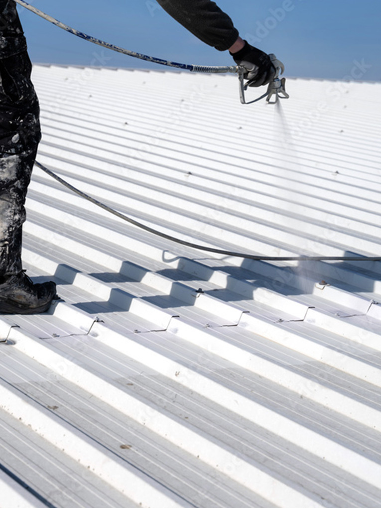 Roof cleaning